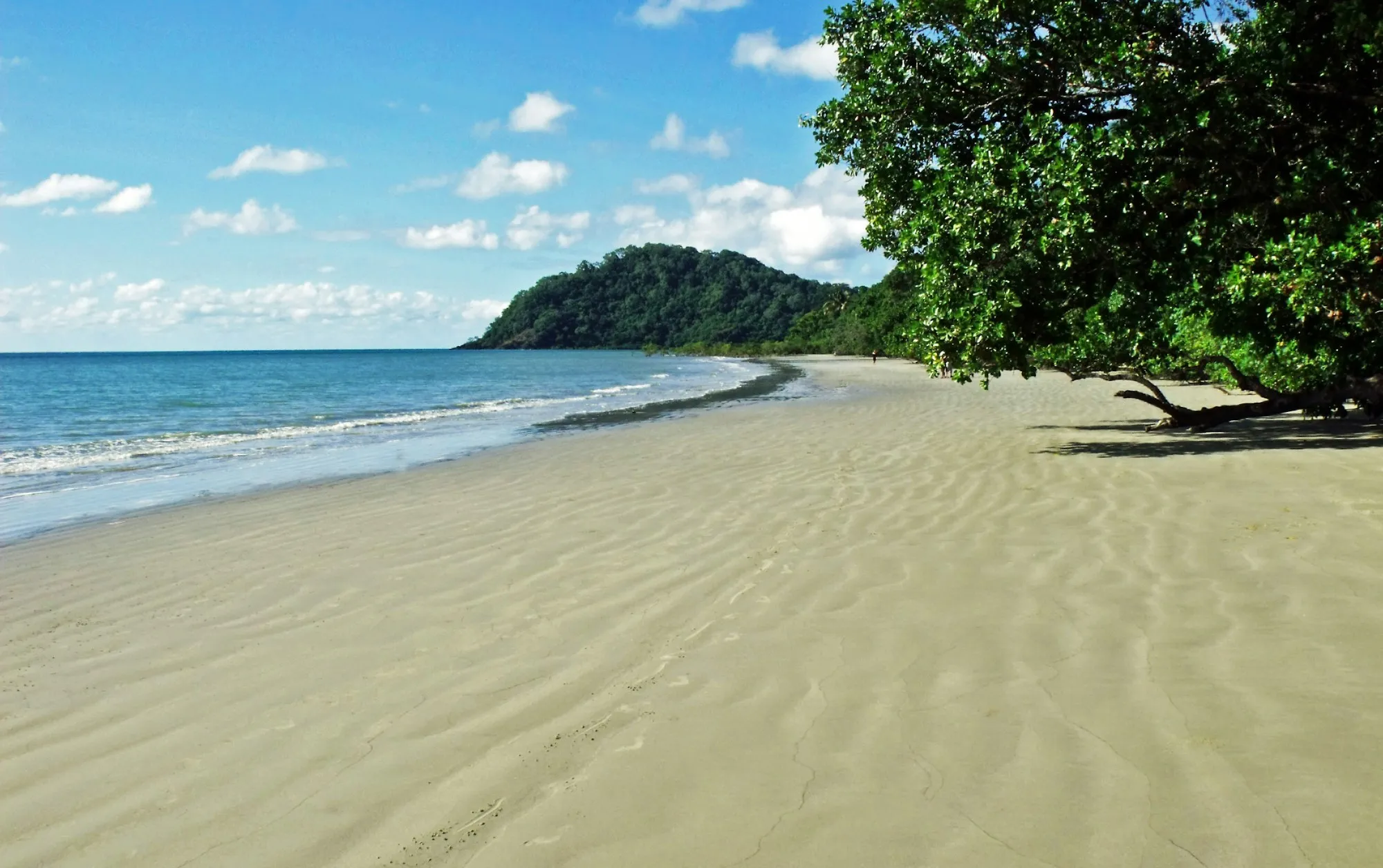 Myall Beach curving towards the Cape Tribulation headland