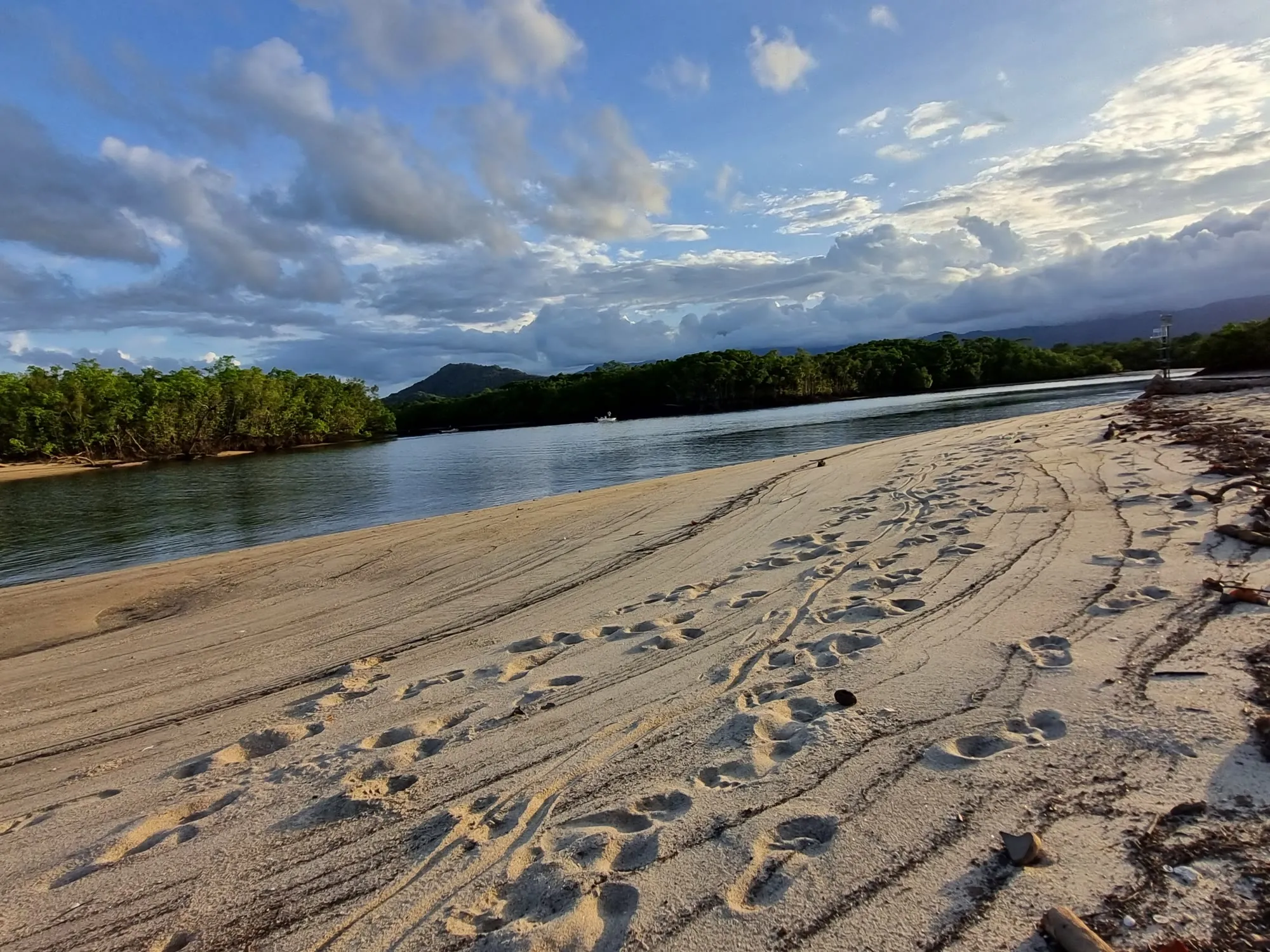 Golden afternoon light on the sand flats and mangroves at the Mossman River mouth, Cooya Beach