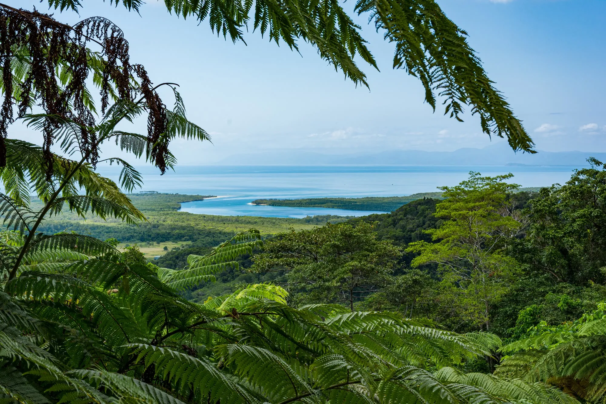 Rainforest ranges and the Daintree River mouth seen from Alexandra Lookout