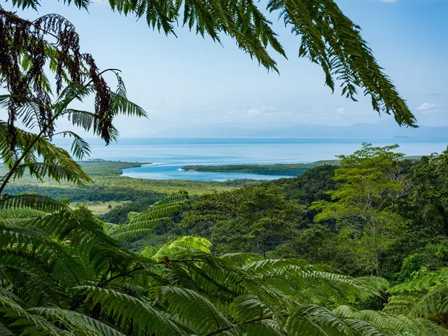 Rainforest ranges and the Daintree River mouth seen from Alexandra Lookout