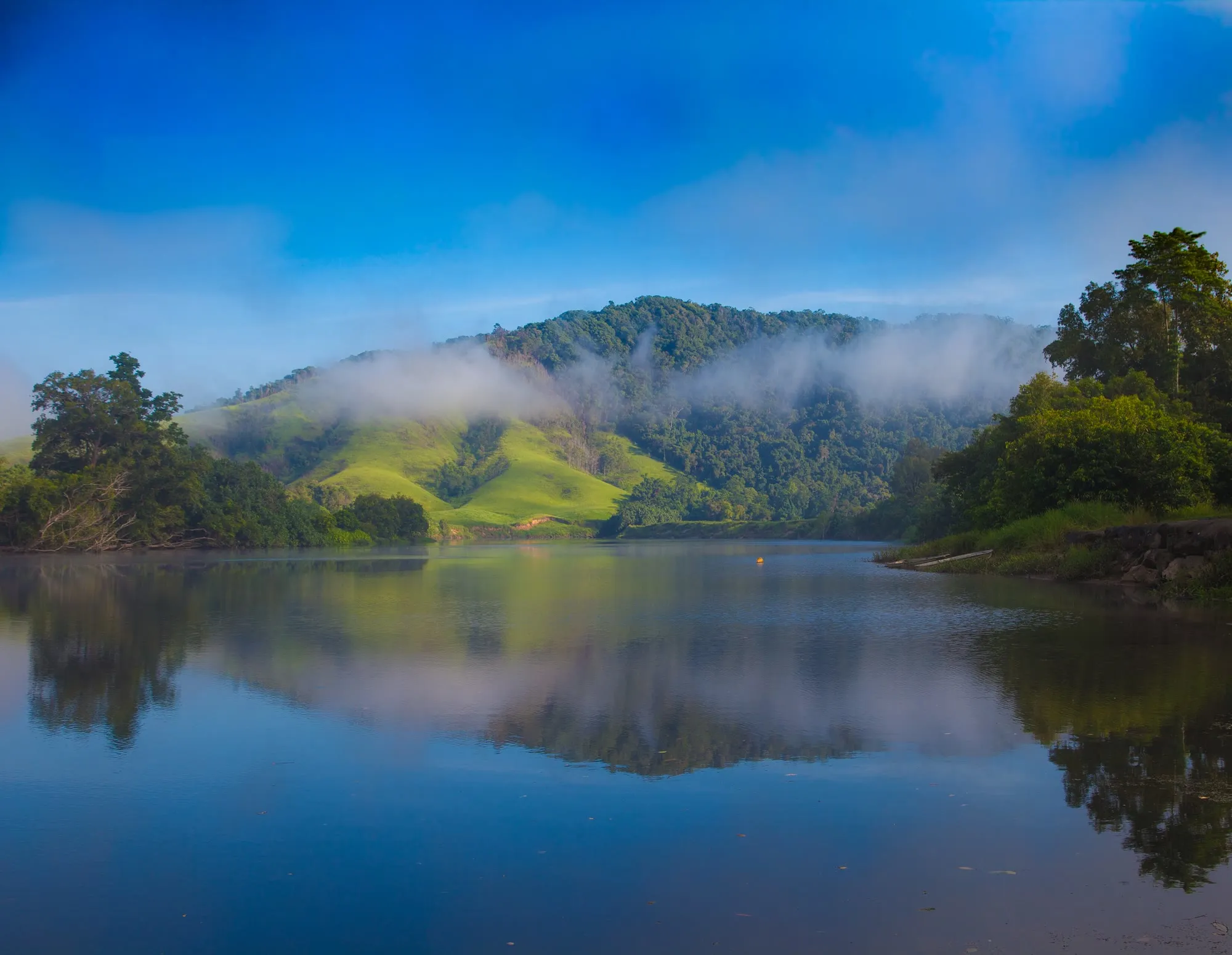 The Daintree River, mirror-calm beneath misty rainforest hills