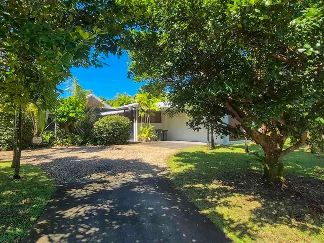 Tree-lined driveway leading to the house
