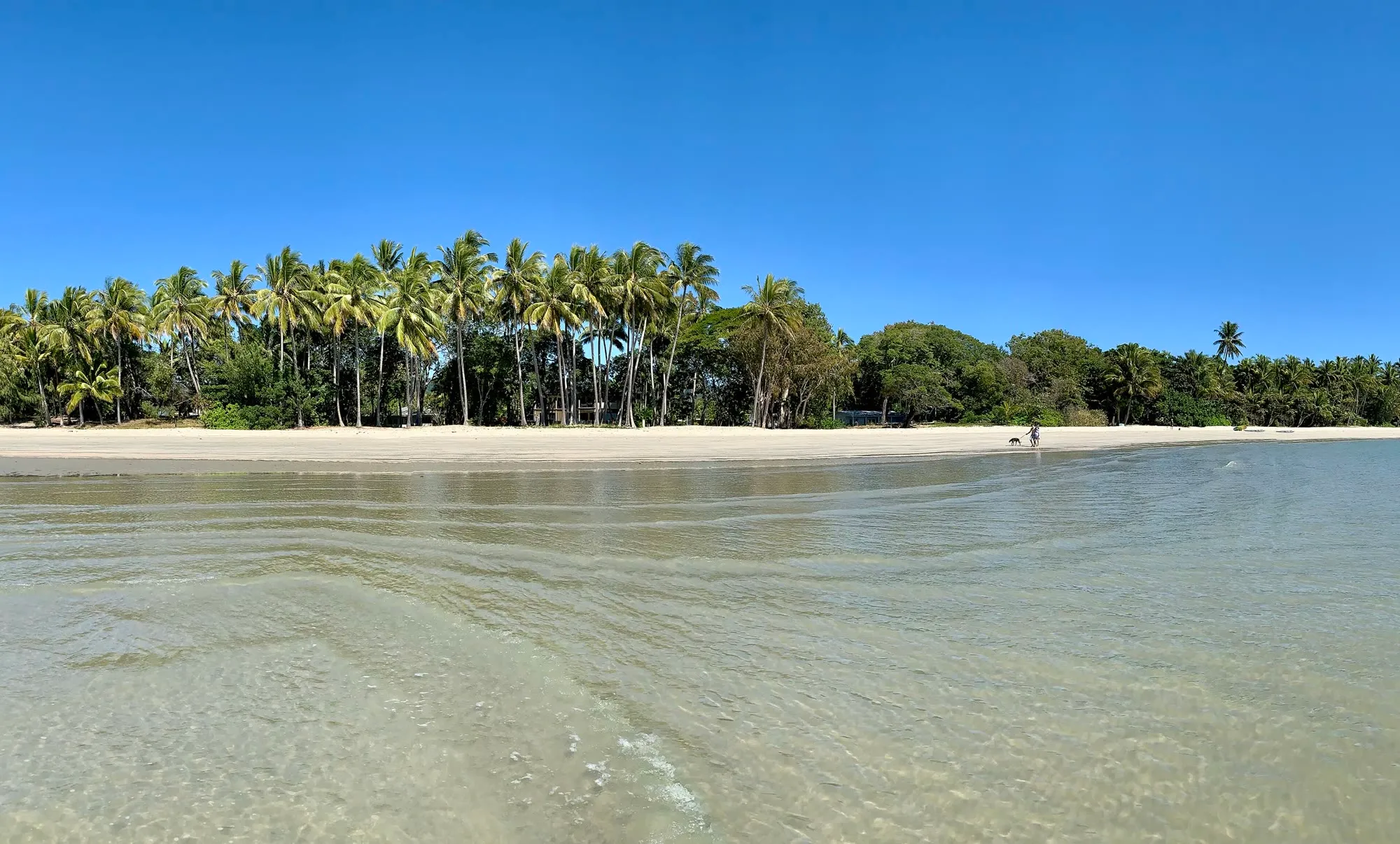 Palm-lined Four Mile Beach, Port Douglas