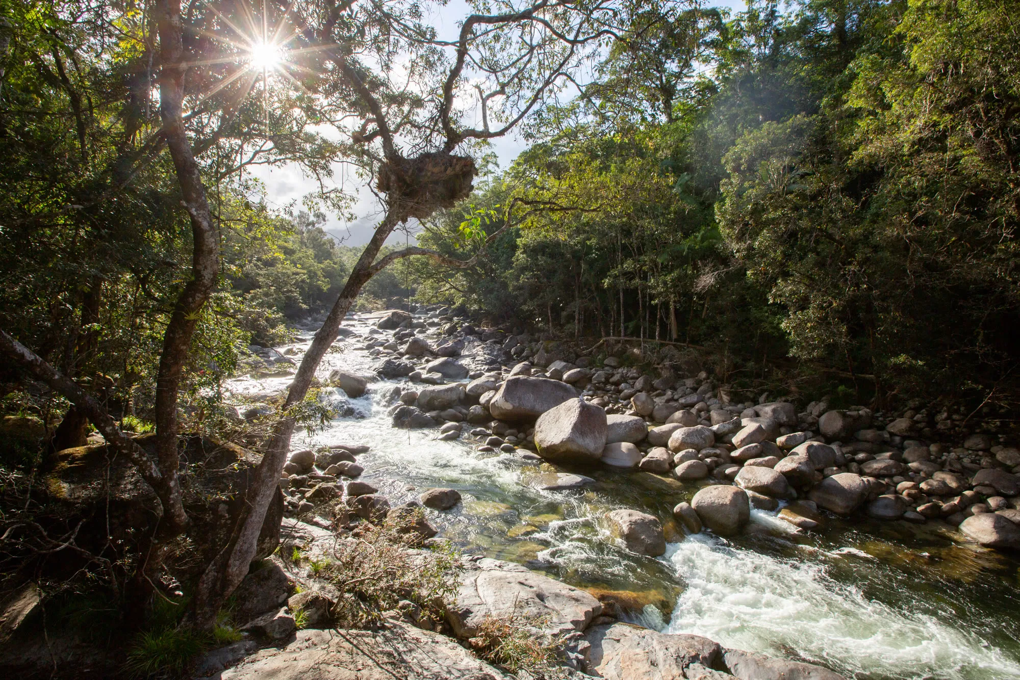 The Mossman River tumbling over boulders in Mossman Gorge