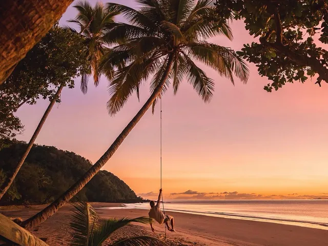 Palm-tree swing on the beach at dusk
