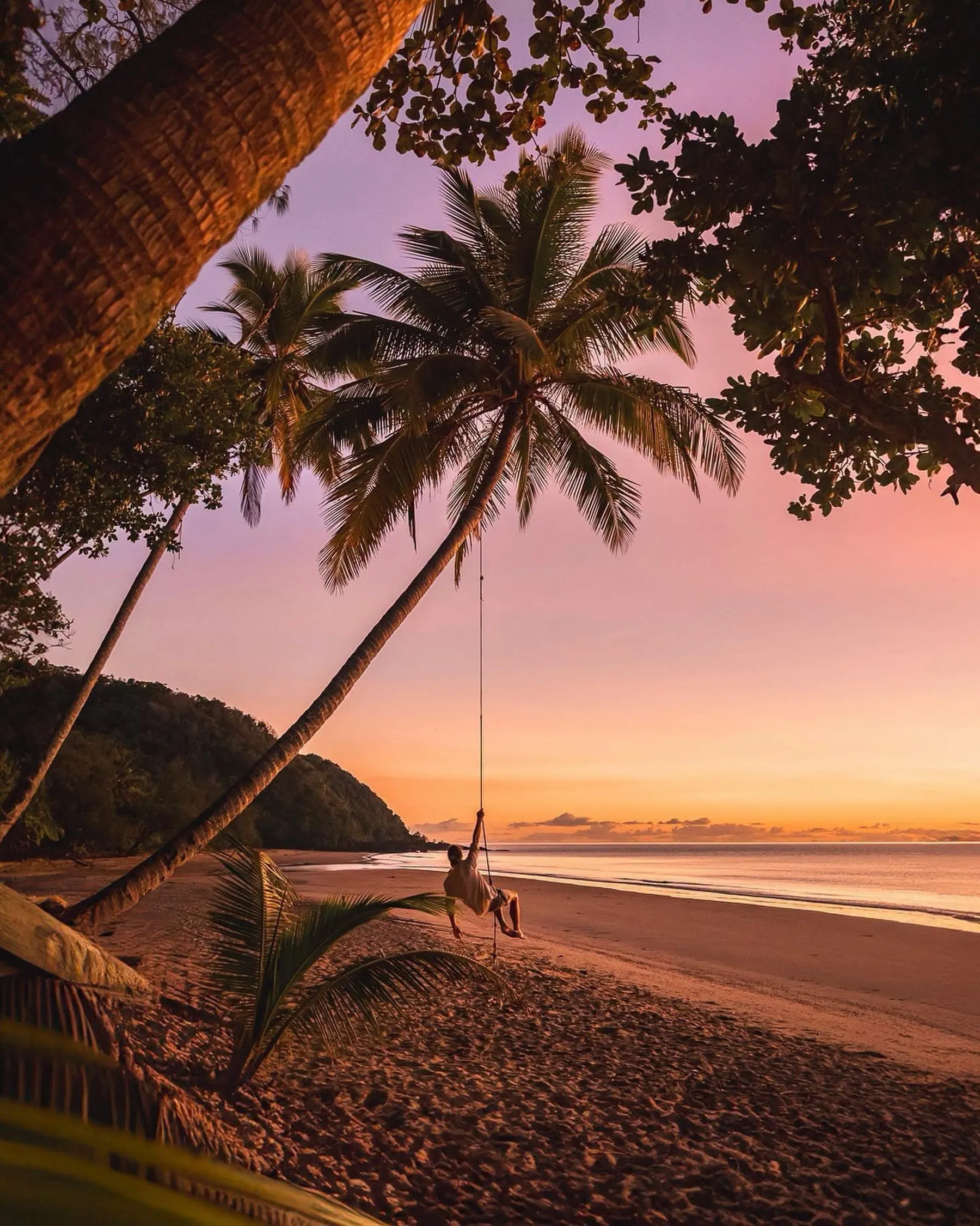 Palm-tree swing on the beach at dusk