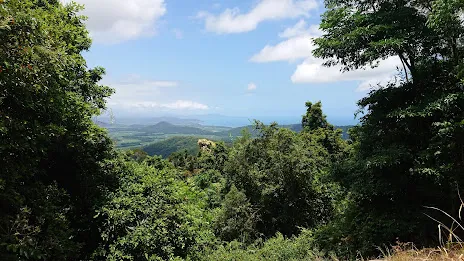 Rainforest ranges seen from a lookout