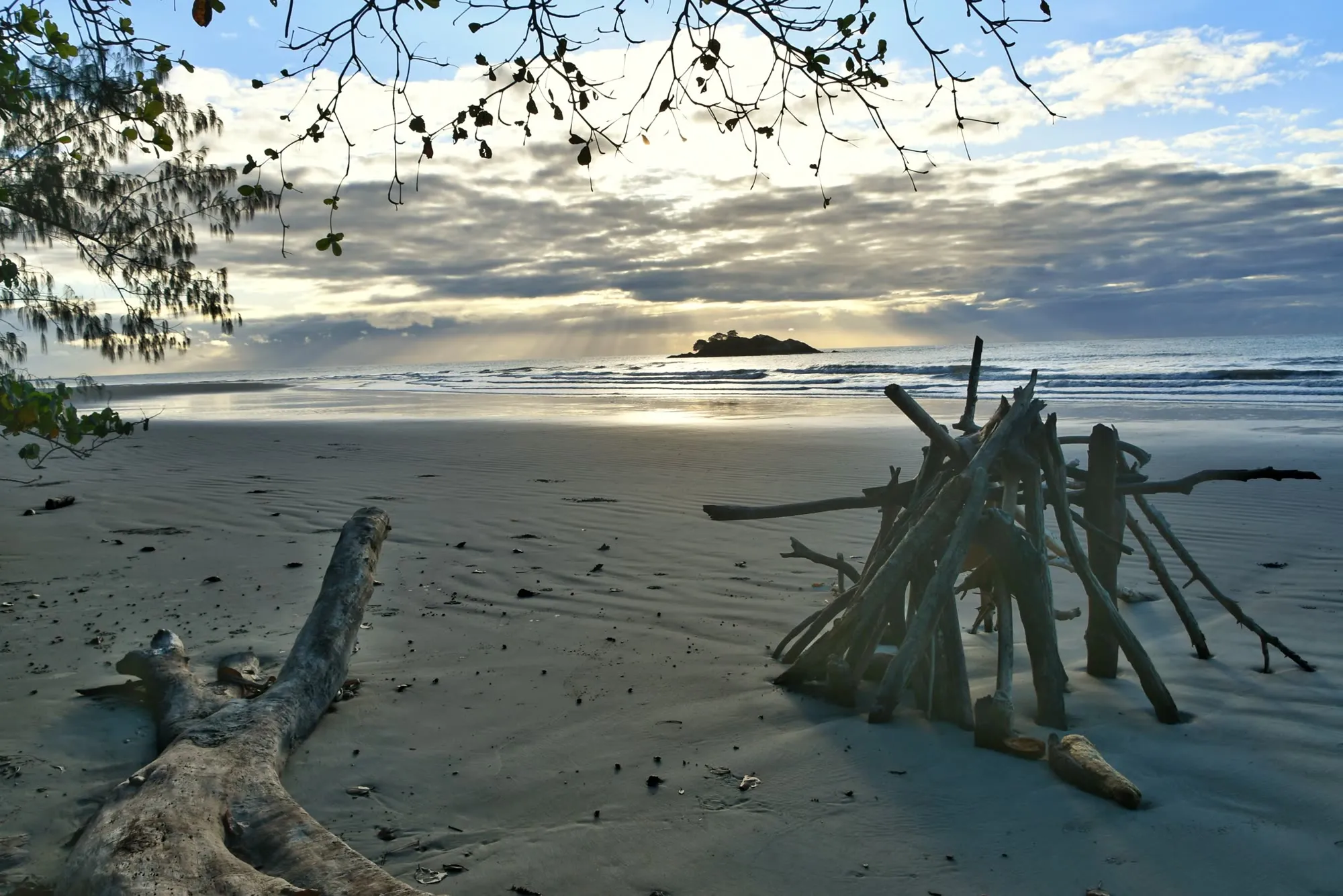 Driftwood on Thornton Beach with Struck Island offshore